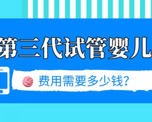 第三代试管婴儿—各热门国家费用明细