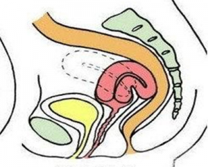  子宫后后位对怀孕有影响吗？——以下4个调整方法很重要