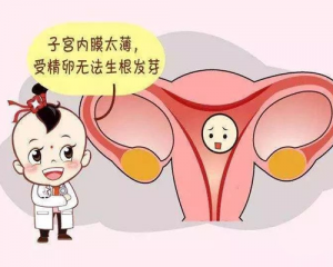 试管婴儿子宫内膜薄怎么调理——超全调理攻略