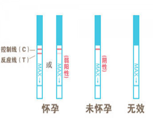 已怀孕的验孕棒图片详解，教你正确使用验孕棒