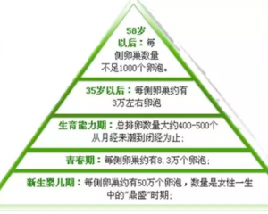 42岁高龄备孕要想成功就要做到以下3点注意事项，来自成功者的经验分享