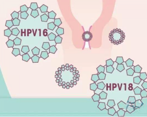 宫颈癌疫苗2价4价9价的区别有哪些，看完你就知道了