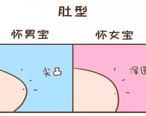 怀男宝宝的真实症状—你中了几个